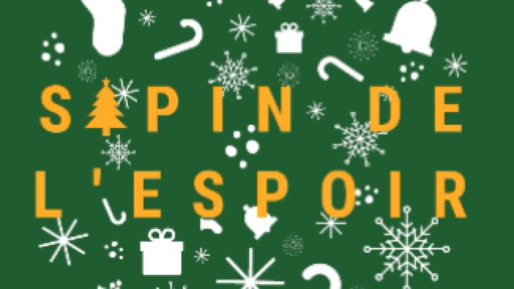 PORTNEUF S'ILLUMINE POUR LE SAPIN DE L'ESPOIR