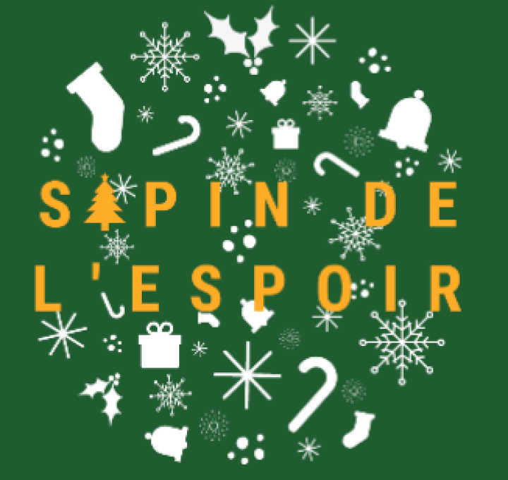 PORTNEUF S'ILLUMINE POUR LE SAPIN DE L'ESPOIR